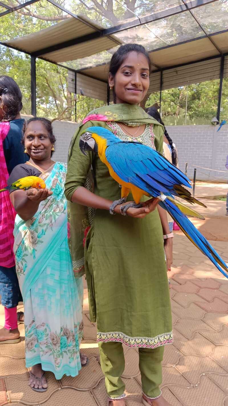 A vision-disabled student from Thaaikarangal Charitable Trust smiles while gently holding a blue-and-yellow macaw during the field trip to Rajali Birds Park, Thanjavur. Nearby, another participant interacts with a colorful lovebird, highlighting the joyful sensory experiences and emotional bonds formed as students connected with birds through touch, sound, and companionship. A vision-disabled student from Thaaikarangal Charitable Trust smiles while gently holding a blue-and-yellow macaw during the field trip to Rajali Birds Park, Thanjavur. Nearby, another participant interacts with a colorful lovebird, highlighting the joyful sensory experiences and emotional bonds formed as students connected with birds through touch, sound, and companionship.