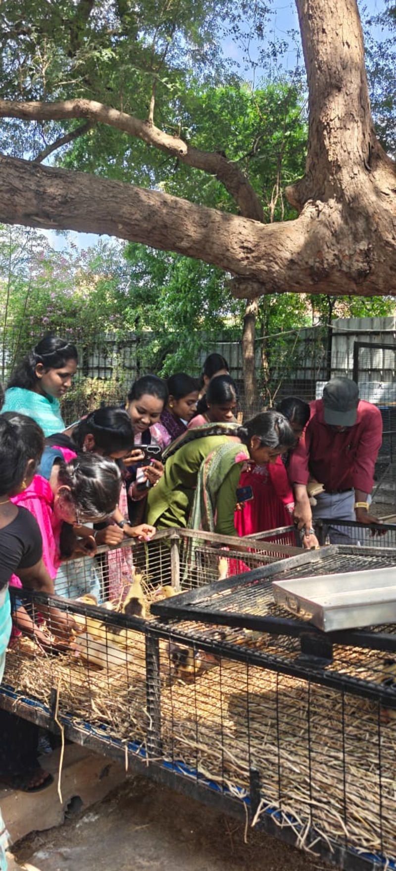 Students from Thaaikarangal Charitable Trust gather around an enclosure at Rajali Birds Park, Thanjavur, during their field trip, eagerly interacting with and feeding birds under the guidance of staff and volunteers. The experience provided vision-disabled students with an opportunity to explore nature through touch, sound, and close sensory engagement, fostering joy, curiosity, and meaningful connections with the natural world. Students from Thaaikarangal Charitable Trust gather around an enclosure at Rajali Birds Park, Thanjavur, during their field trip, eagerly interacting with and feeding birds under the guidance of staff and volunteers. The experience provided vision-disabled students with an opportunity to explore nature through touch, sound, and close sensory engagement, fostering joy, curiosity, and meaningful connections with the natural world.