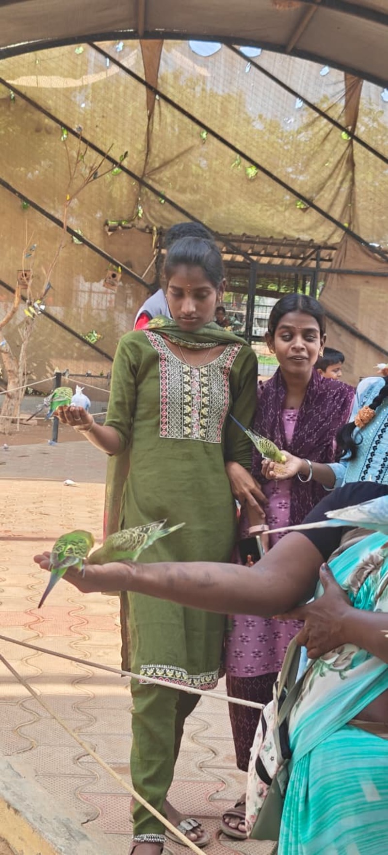 Vision-disabled students from Thaaikarangal Charitable Trust interact with parakeets inside the aviary at Rajali Birds Park, during their field trip. As the birds perch gently on their hands, the students experience the delicate movements, soft feathers, and lively presence of the birds through touch, creating joyful sensory experiences and deepening their connection with nature. Vision-disabled students from Thaaikarangal Charitable Trust interact with parakeets inside the aviary at Rajali Birds Park, during their field trip. As the birds perch gently on their hands, the students experience the delicate movements, soft feathers, and lively presence of the birds through touch, creating joyful sensory experiences and deepening their connection with nature.