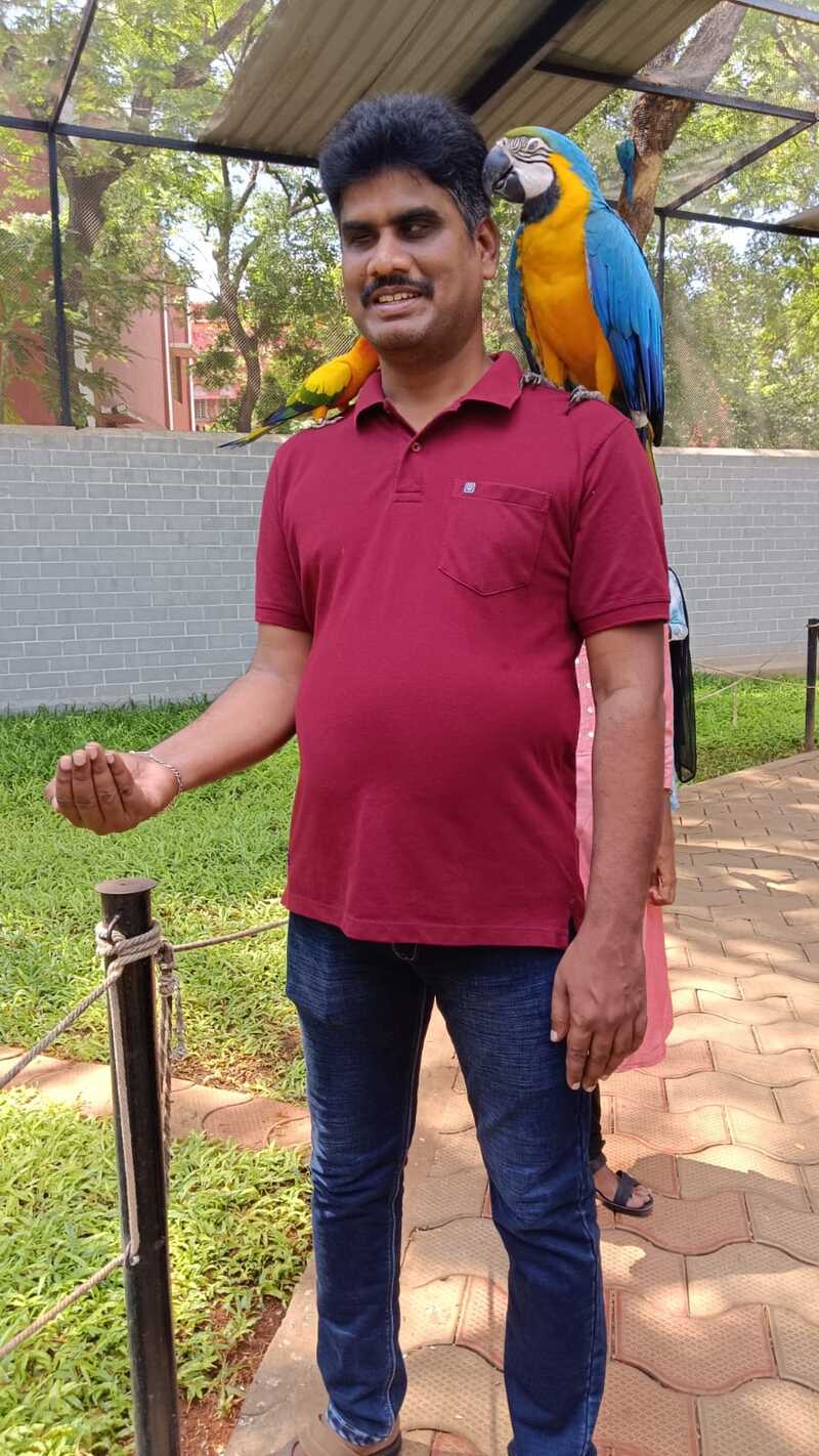 An adult participant from Thaaikarangal Charitable Trust stands smiling at Rajali Birds Park, Thanjavur, with two colorful macaws perched on his shoulders during the field trip held. The close interaction highlights the sensory and emotional connection fostered between the vision-disabled participants and the birds through touch and companionship. An adult participant from Thaaikarangal Charitable Trust stands smiling at Rajali Birds Park, Thanjavur, with two colorful macaws perched on his shoulders during the field trip held. The close interaction highlights the sensory and emotional connection fostered between the vision-disabled participants and the birds through touch and companionship.