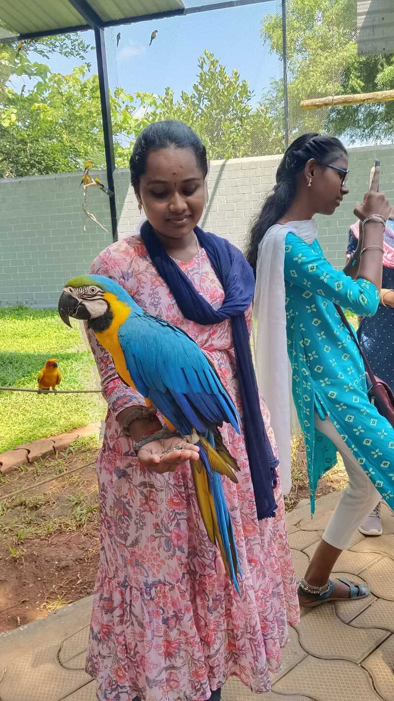 A student from Thaaikarangal Charitable Trust gently holds a blue-and-yellow macaw on her hand during the field trip. The close interaction provided a unique sensory experience for the vision-disabled students, allowing them to connect with the birds through touch and feel their soft feathers, weight, and movements firsthand. A student from Thaaikarangal Charitable Trust gently holds a blue-and-yellow macaw on her hand during the field trip. The close interaction provided a unique sensory experience for the vision-disabled students, allowing them to connect with the birds through touch and feel their soft feathers, weight, and movements firsthand.