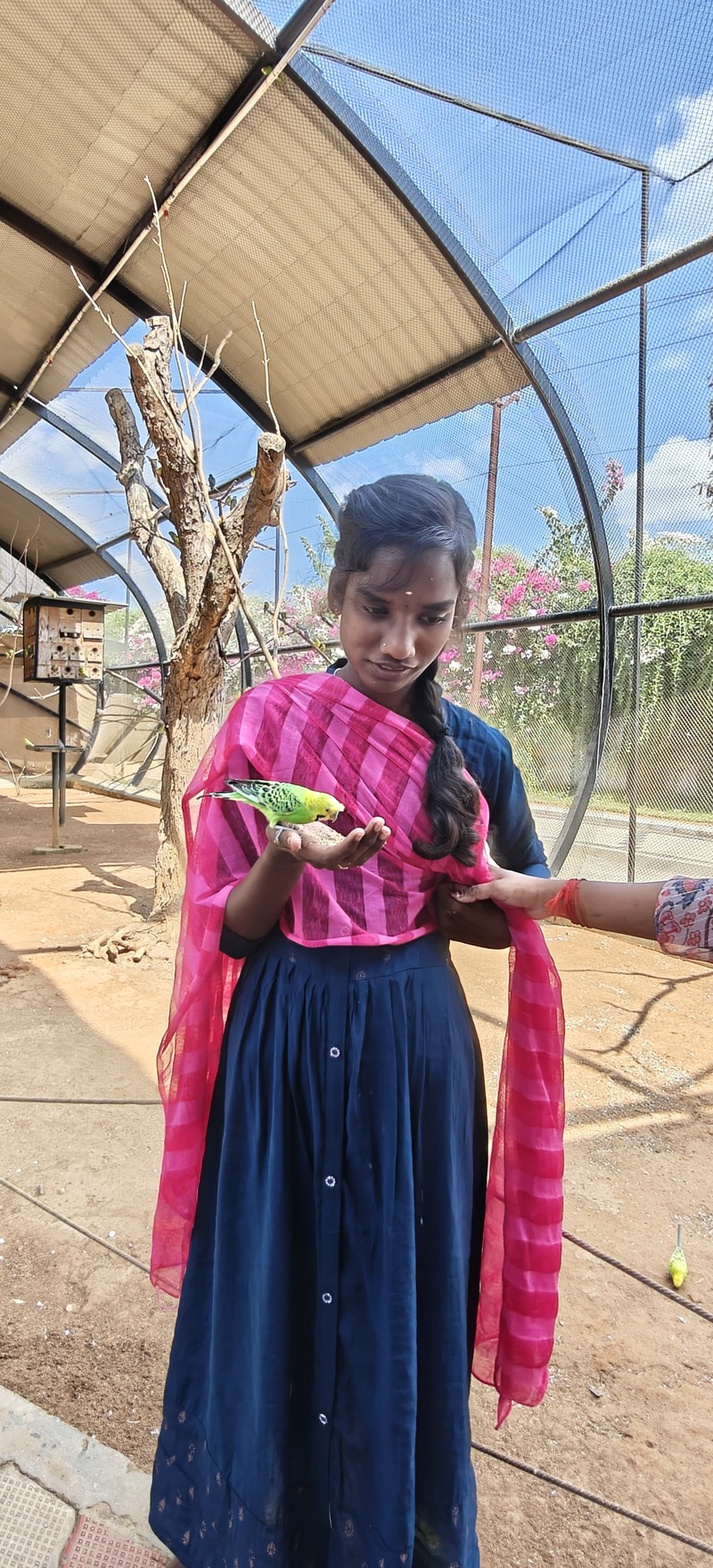 A vision-disabled student from Thaaikarangal Charitable Trust gently interacts with a small parakeet perched on her hand during the field trip. The student experiences the bird through touch, feeling its delicate movements and soft feathers, highlighting the meaningful sensory connections fostered during the nature visit. A vision-disabled student from Thaaikarangal Charitable Trust gently interacts with a small parakeet perched on her hand during the field trip. The student experiences the bird through touch, feeling its delicate movements and soft feathers, highlighting the meaningful sensory connections fostered during the nature visit.