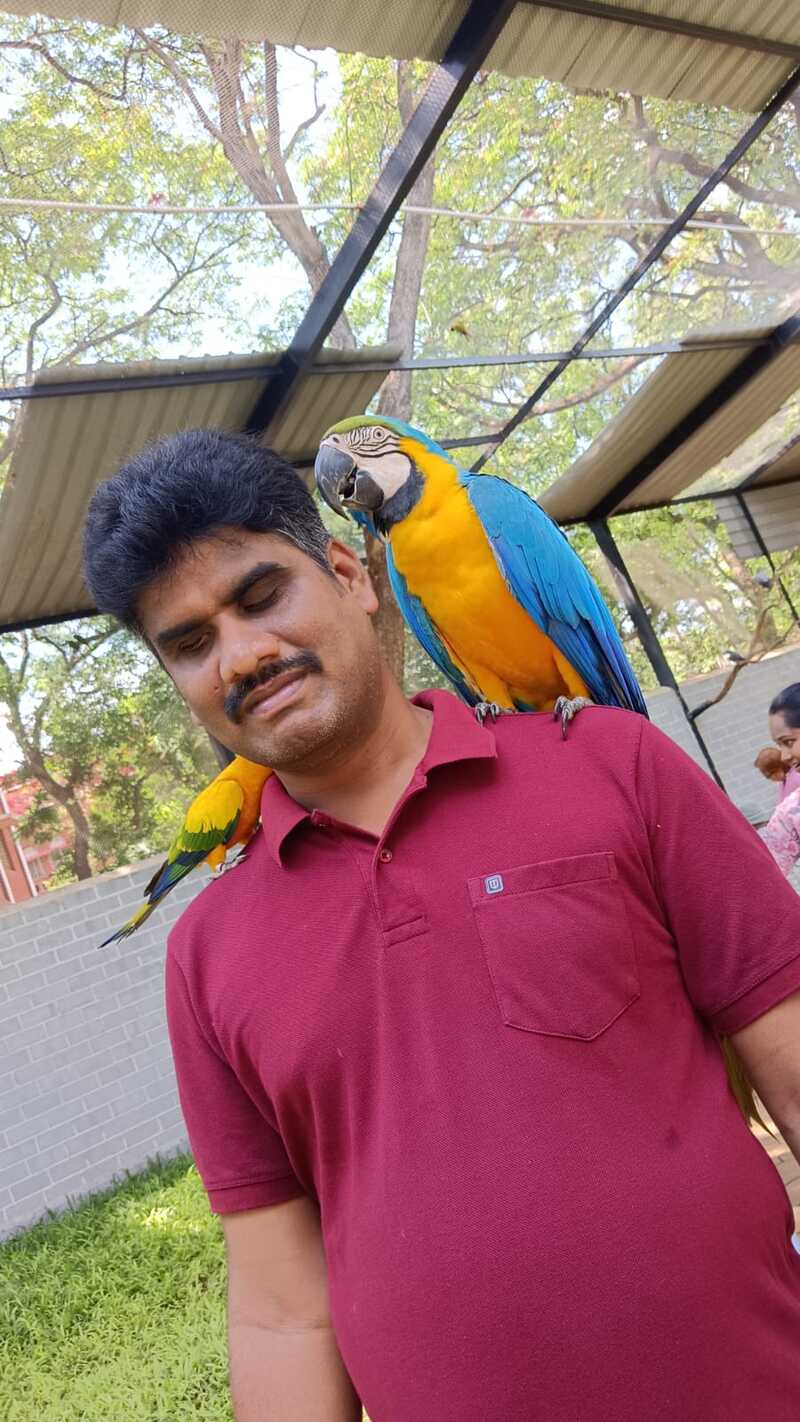 A participant from Thaaikarangal Charitable Trust enjoys a close interaction with two colorful parrots perched on his shoulders during the field trip. The experience allowed vision-disabled participants to connect with the birds through touch and sound, creating meaningful moments of joy, confidence, and emotional bonding with nature. A participant from Thaaikarangal Charitable Trust enjoys a close interaction with two colorful parrots perched on his shoulders during the field trip. The experience allowed vision-disabled participants to connect with the birds through touch and sound, creating meaningful moments of joy, confidence, and emotional bonding with nature.