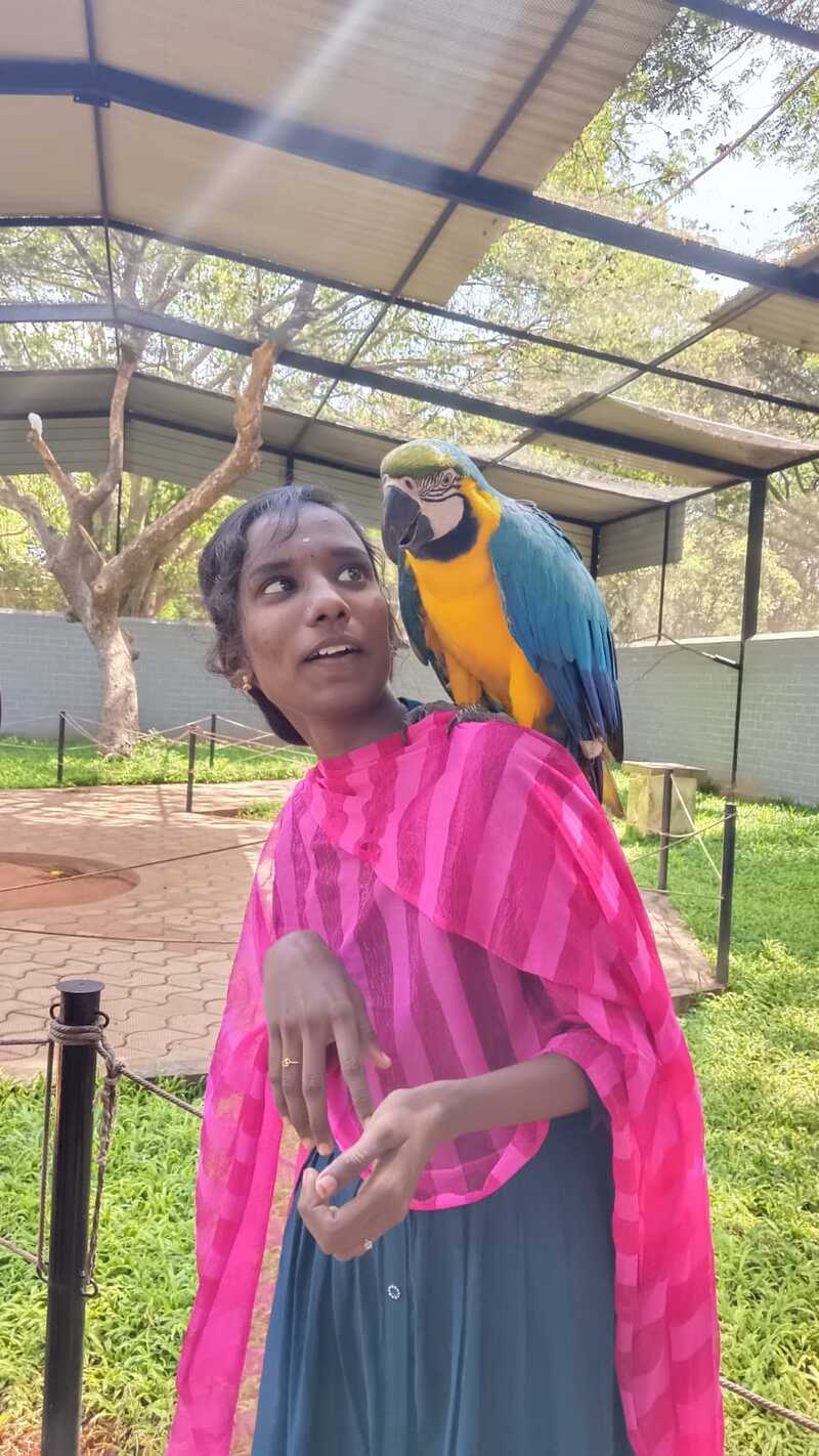 A vision-disabled student from Thaaikarangal Charitable Trust stands smiling as a blue-and-yellow macaw perches gently on her shoulder during the field trip. Through close interaction with the bird, the student experiences its presence, movements, and gentle touch, reflecting the profound emotional connections and sensory learning made possible during the nature excursion. A vision-disabled student from Thaaikarangal Charitable Trust stands smiling as a blue-and-yellow macaw perches gently on her shoulder during the field trip. Through close interaction with the bird, the student experiences its presence, movements, and gentle touch, reflecting the profound emotional connections and sensory learning made possible during the nature excursion.