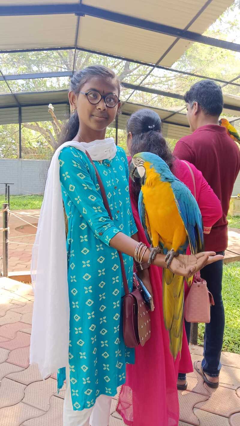 A vision-disabled student from Thaaikarangal Charitable Trust gently holds a blue-and-yellow macaw on her hand during the field trip. The close encounter enabled the student to experience the bird through touch, feeling its weight, feathers, and movements, highlighting the meaningful sensory learning and emotional connections fostered during the visit. A vision-disabled student from Thaaikarangal Charitable Trust gently holds a blue-and-yellow macaw on her hand during the field trip. The close encounter enabled the student to experience the bird through touch, feeling its weight, feathers, and movements, highlighting the meaningful sensory learning and emotional connections fostered during the visit.