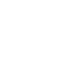 Braille Libraries System